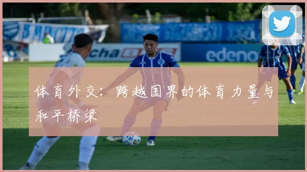 体育外交：跨越国界的体育力量与和平桥梁